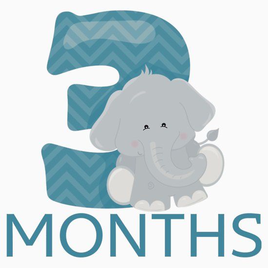 3 months clipart 10 free Cliparts | Download images on Clipground 2023