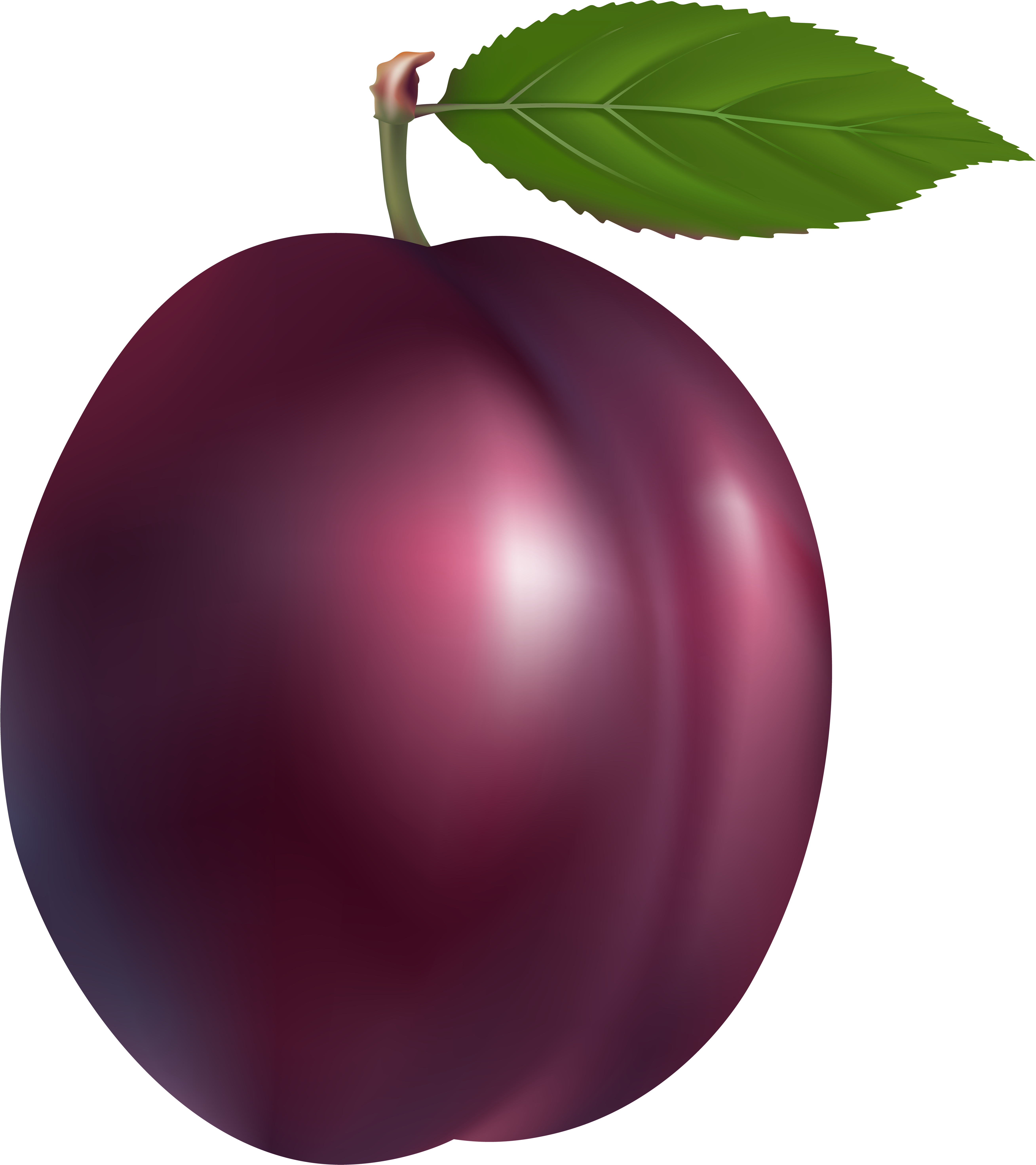 Free Plum Clipart Black And White, Download Free Clip Art.