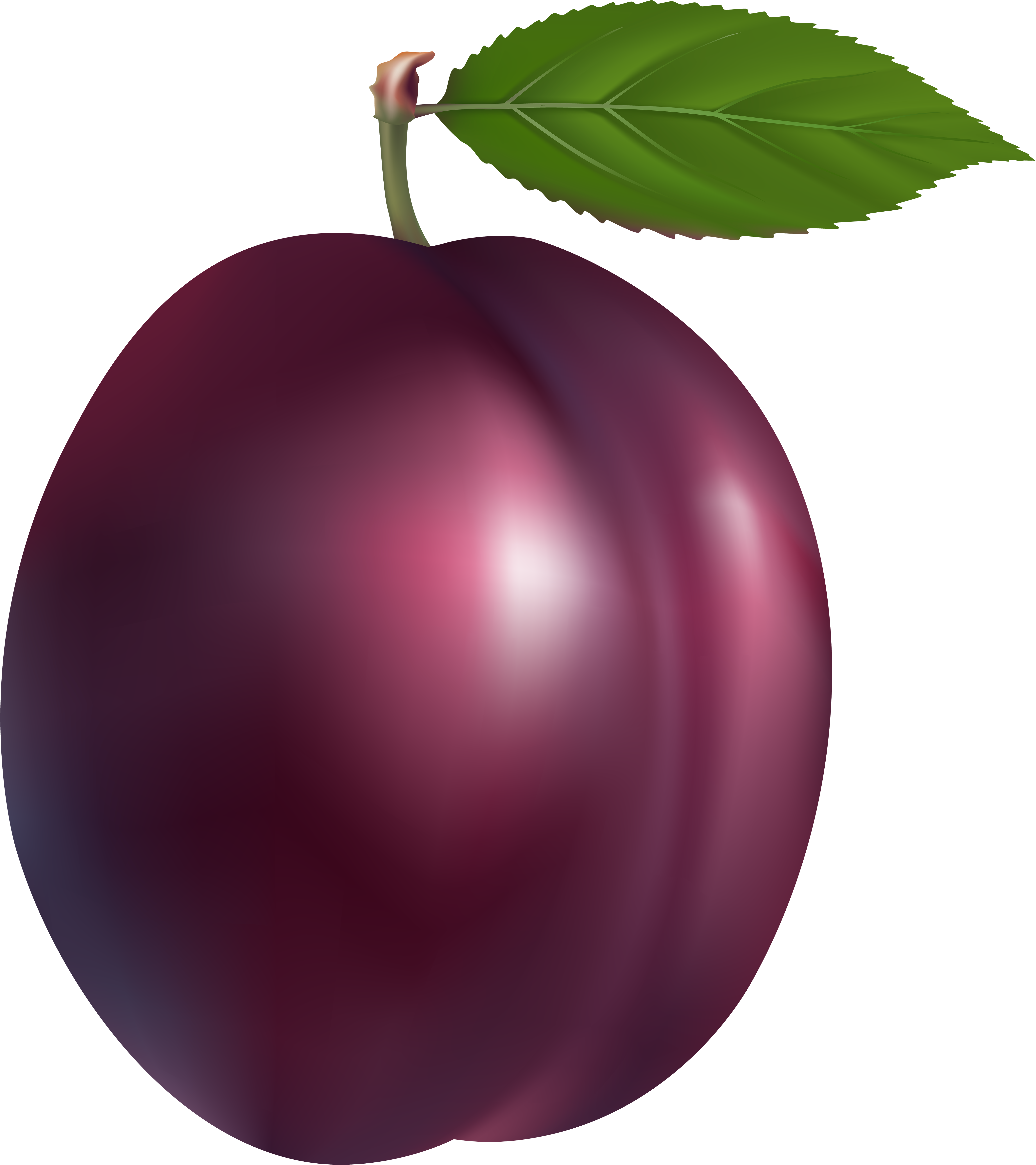 3 plums clipart 10 free Cliparts | Download images on Clipground 2025