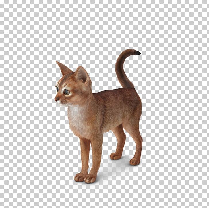 Abyssinian Kitten Whiskers PNG, Clipart, 3d Computer.