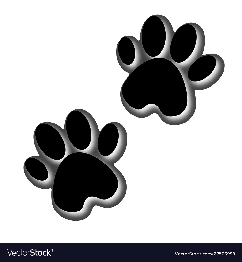 3d animals footprint footprint dog or cat in.