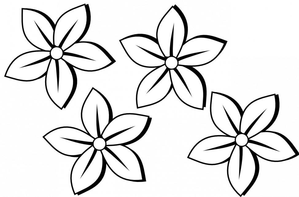 Coloring Pages Flower Drawing Clipart Clip Art Of Flowers.