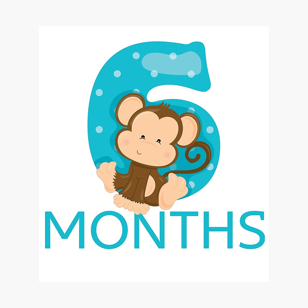6 Months Old Baby Milestone. Safari/ Jungle Theme.