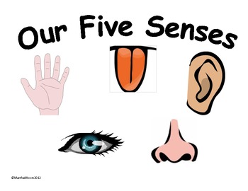 Free 5 Senses Cliparts, Download Free Clip Art, Free Clip.