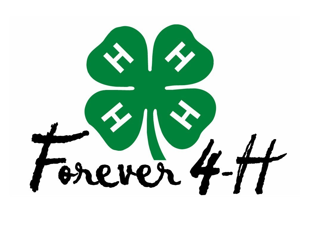 4 H Clover Printable Printable World Holiday