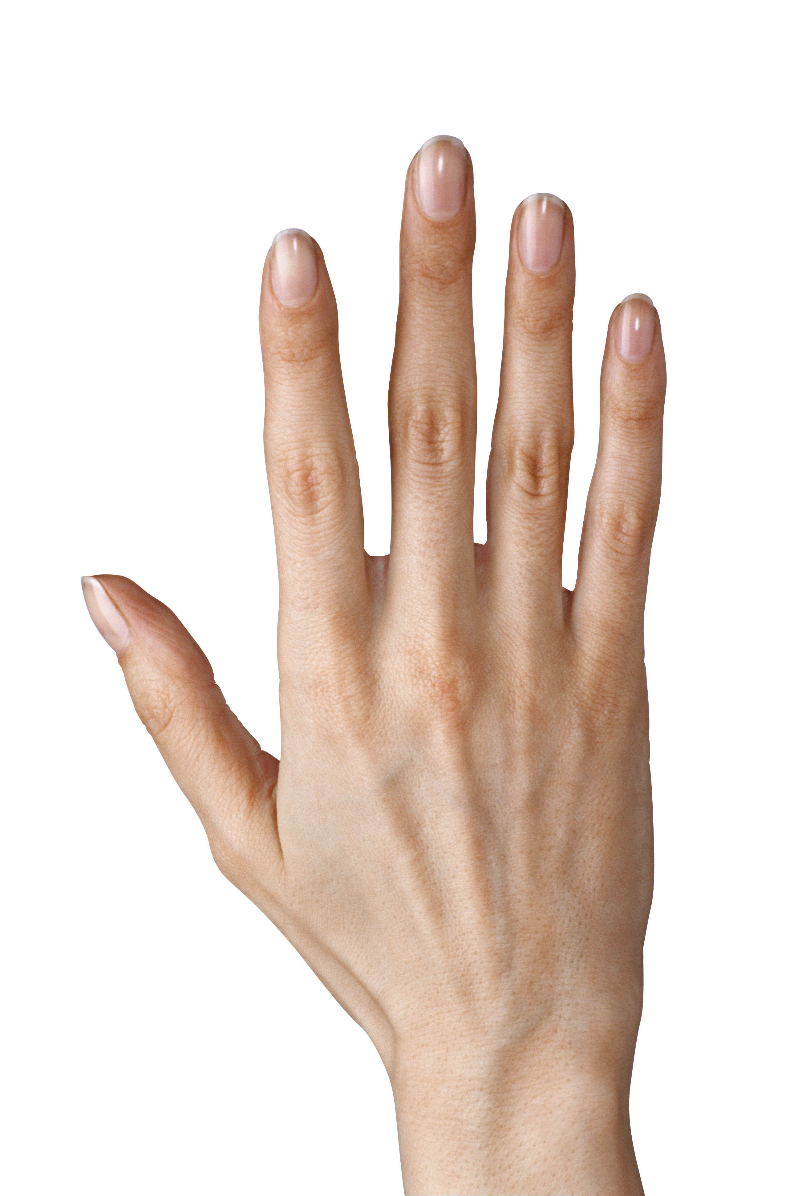 Hand Showing Five Fingers PNG Clipart Image.