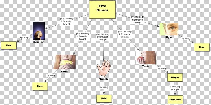 The Five Senses Graphic Organizer Concept Map Hearing PNG, Clipart.