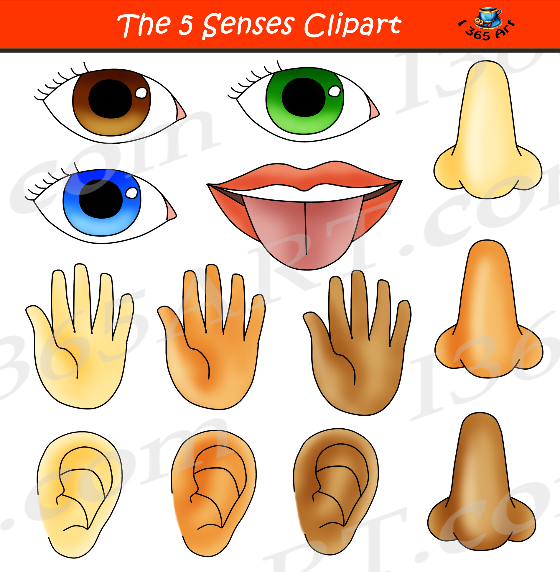5 Senses Clipart Bundle Graphic Set.