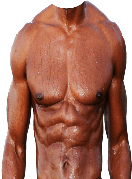 6 Pack Transparent, HD Png Download.