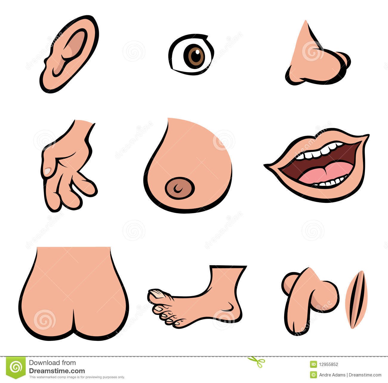 In Clipart Of External Body Parts Top 79 Clip Art Free Image.