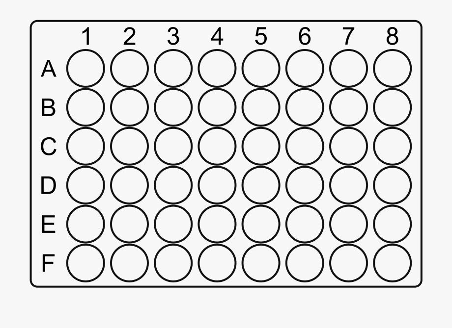96 Well Plate Layout Template