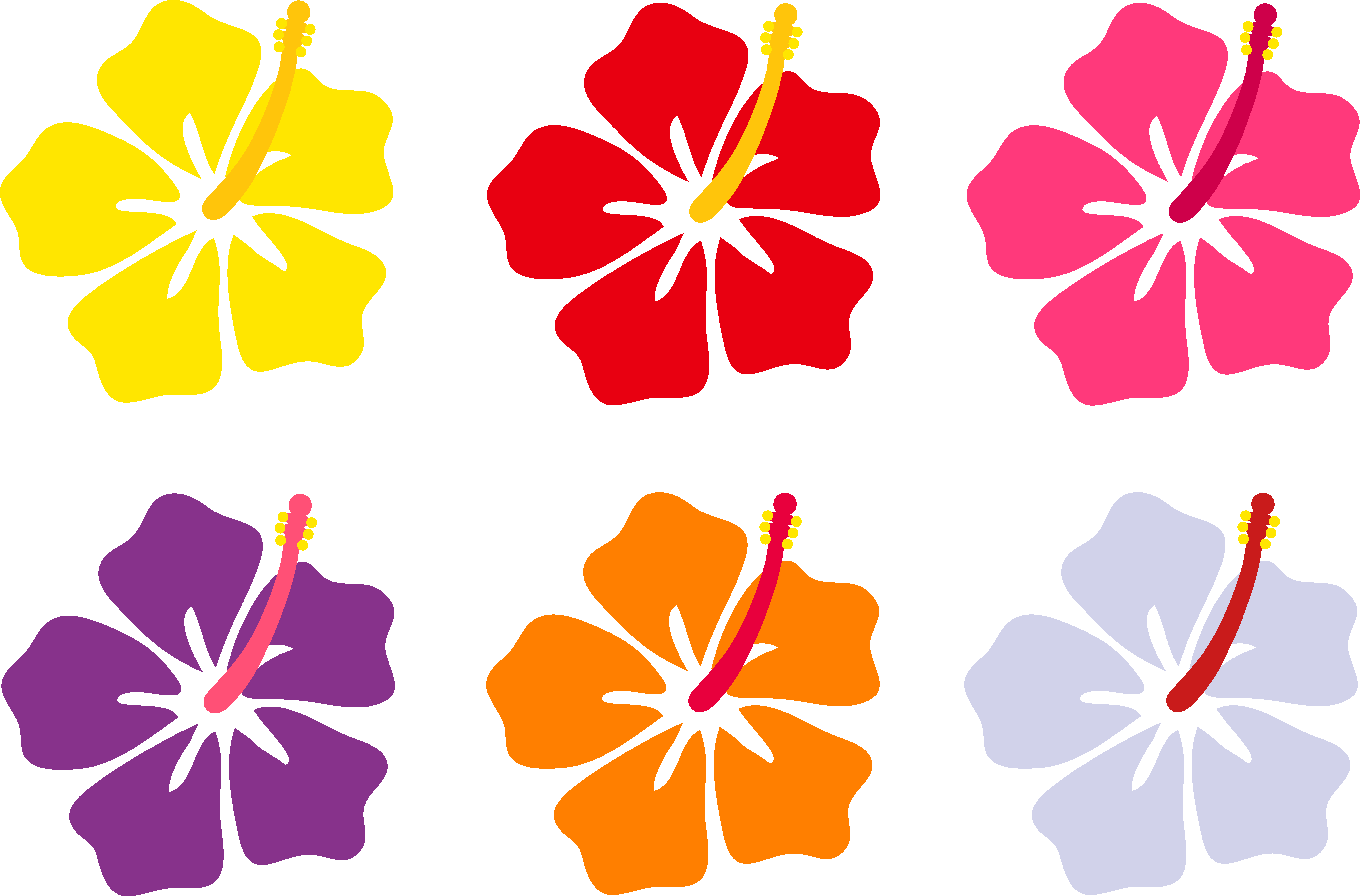 Hibiscus Flower Cartoon.