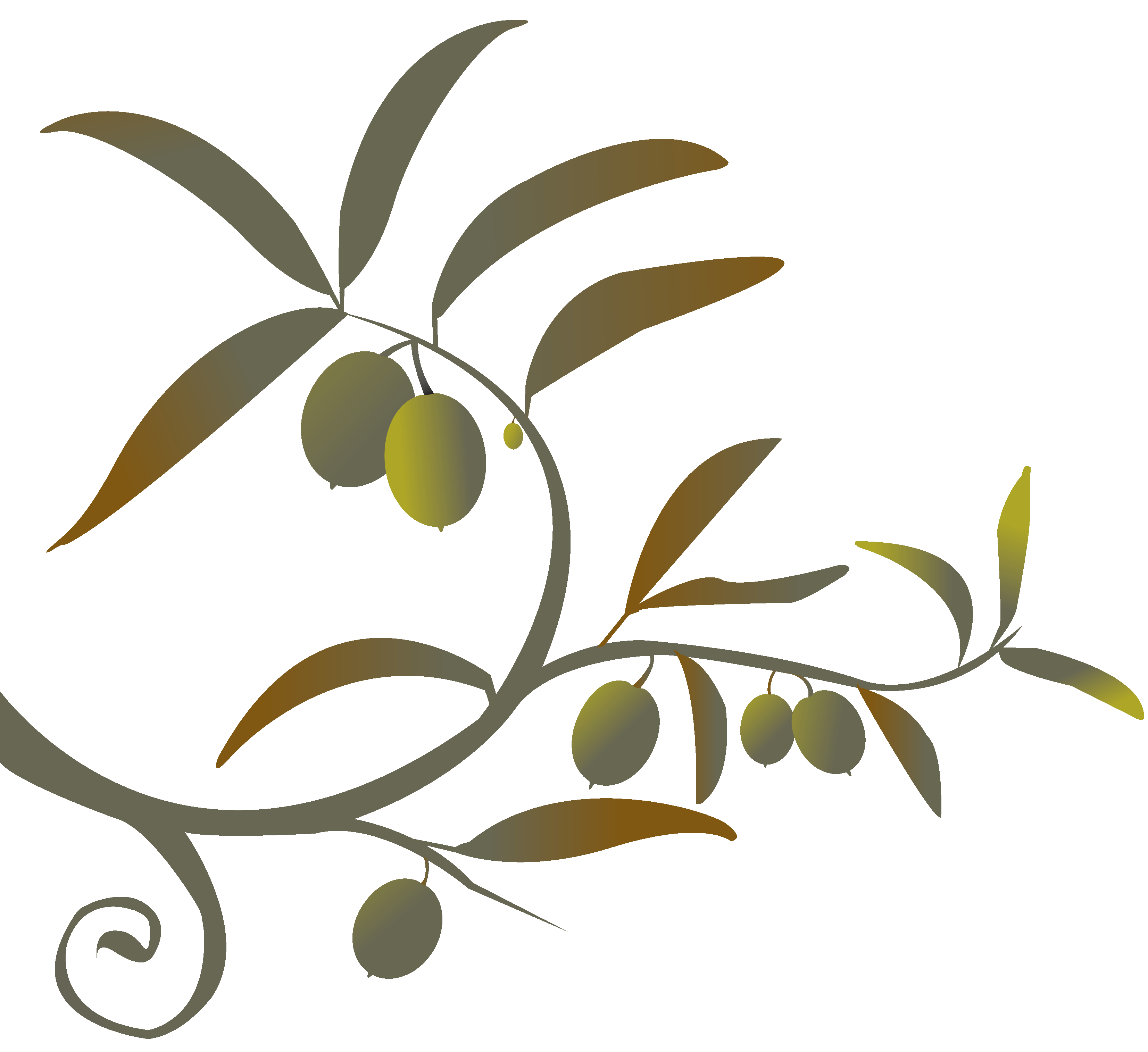 Silhouette olive branch clipart.