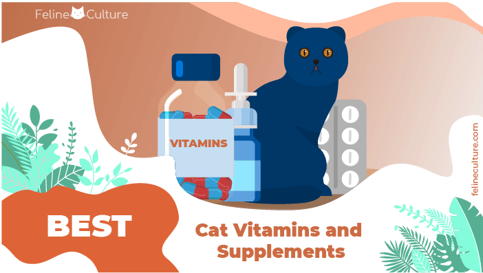 5 Best Cat Vitamins and Supplements In 2019.