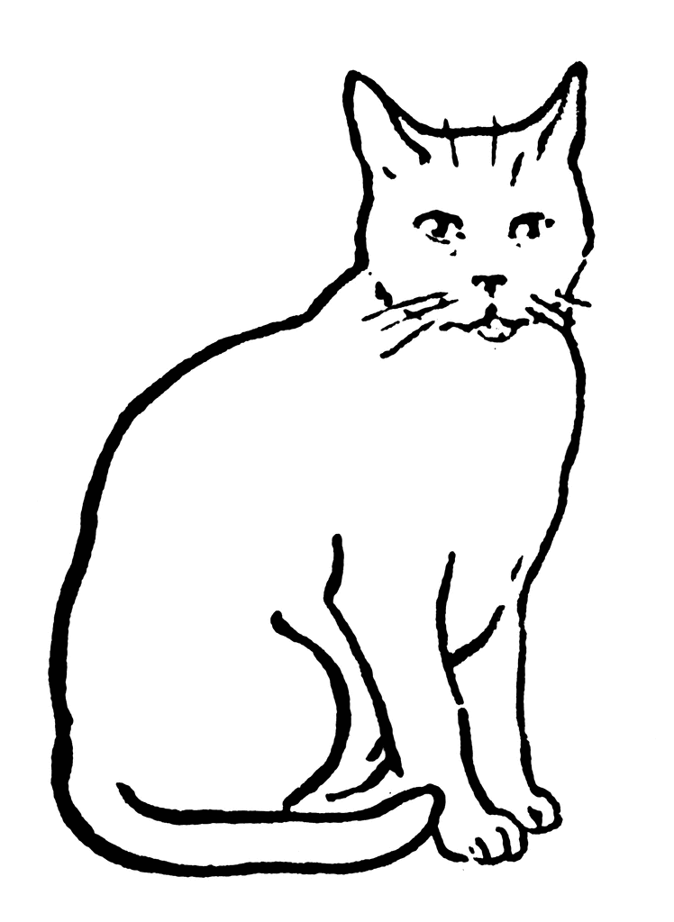 Free Free Cat Images, Download Free Clip Art, Free Clip Art.