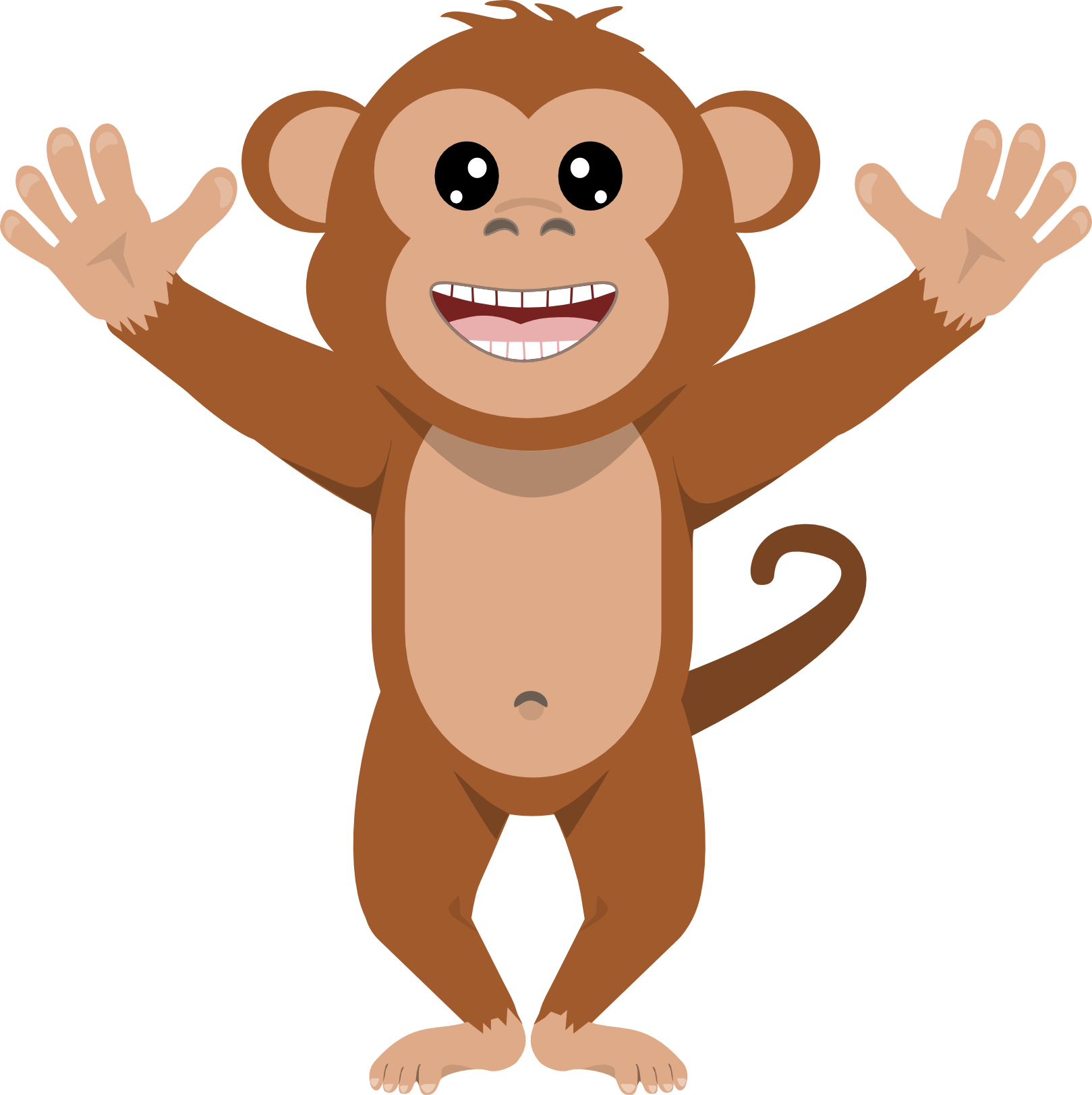 Monkey Transparent PNG.