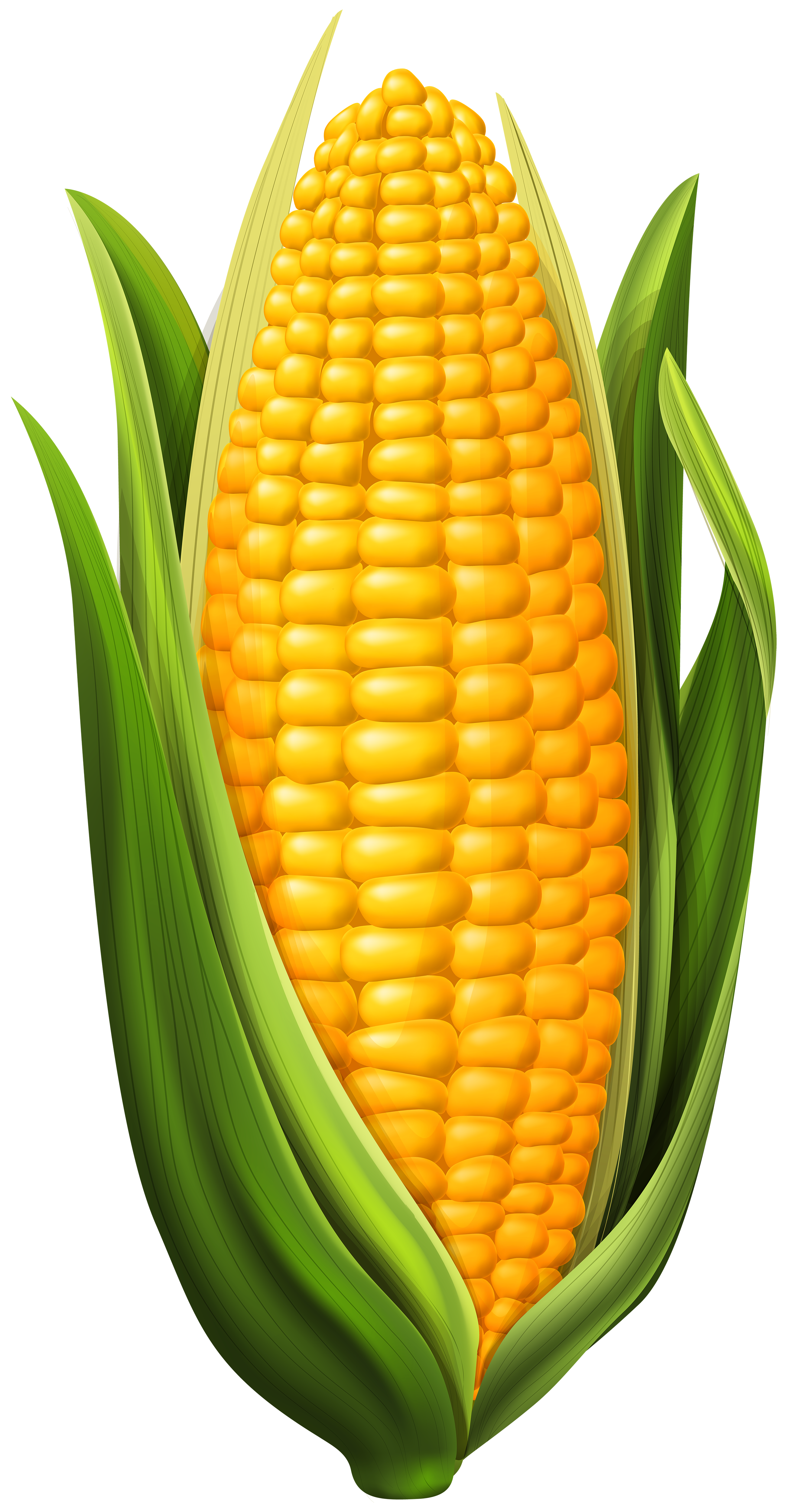 Corn Clipart Group (+), HD Clipart.