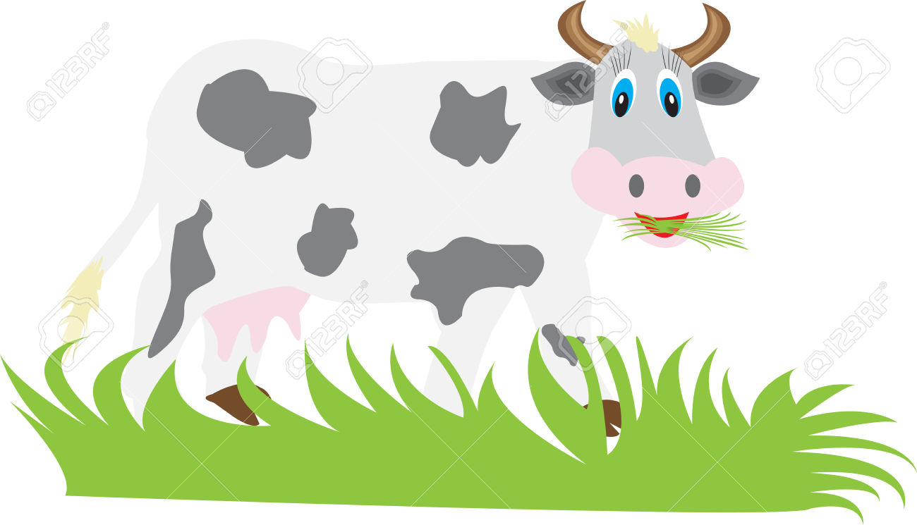 Cow eating grass clipart.