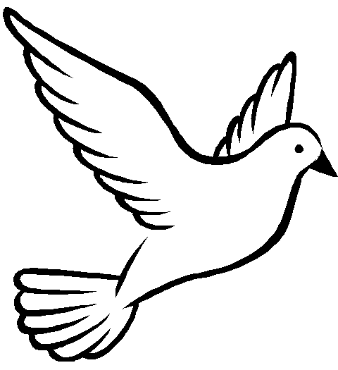 Dove Clipart.