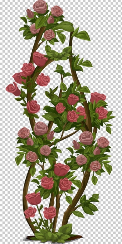 rose bush clip art , Free clipart download.