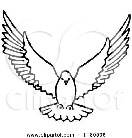 Doves Flying Drawing Dove Flying Royalty Free.