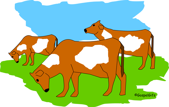 Grazing cow clipart.