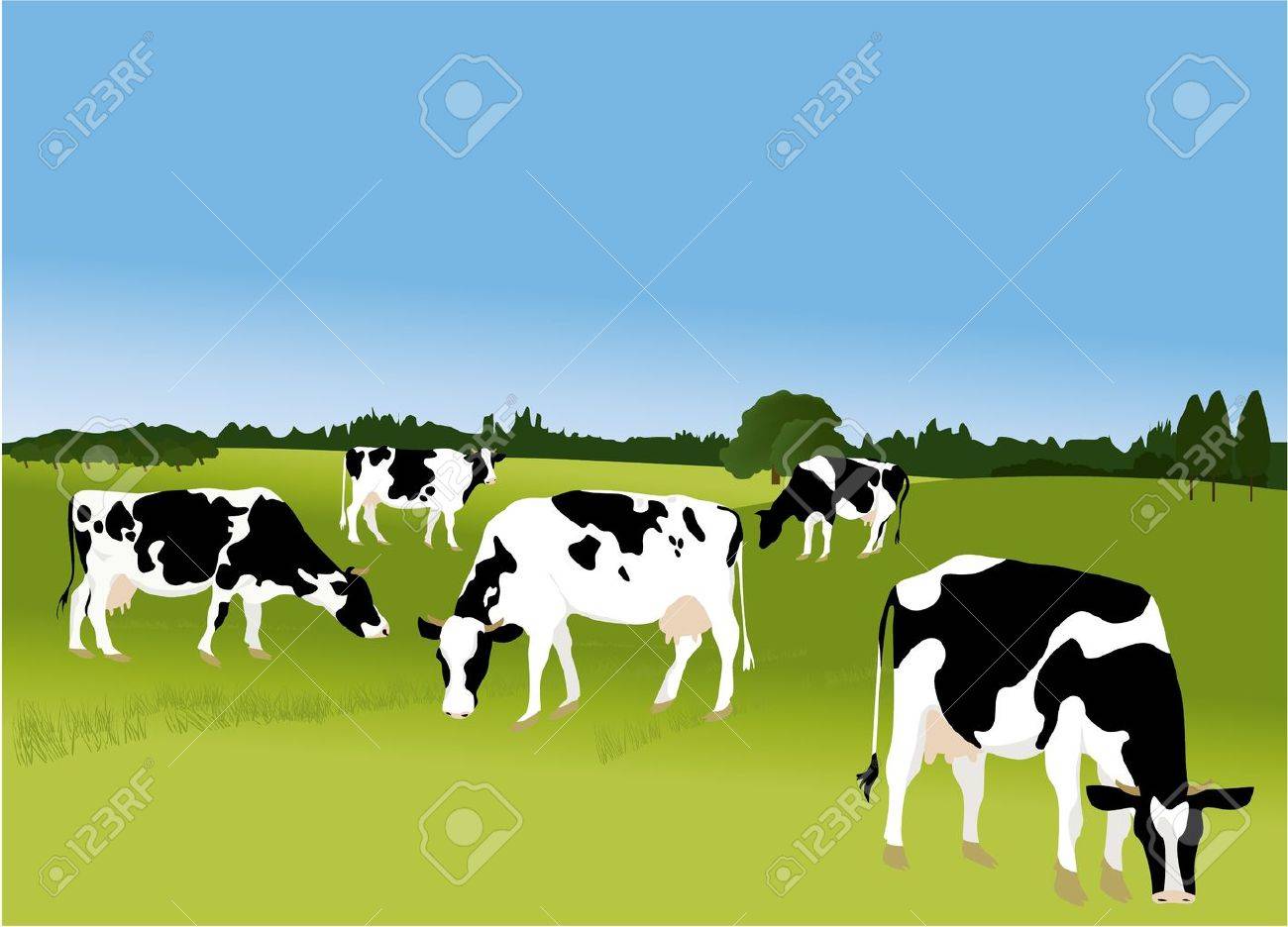 899 Cows free clipart.