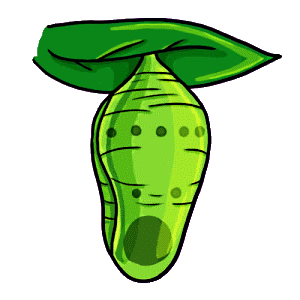 Pupa of butterfly clipart.