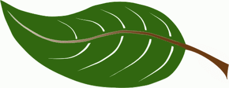 Free Leaf Cliparts, Download Free Clip Art, Free Clip Art on.