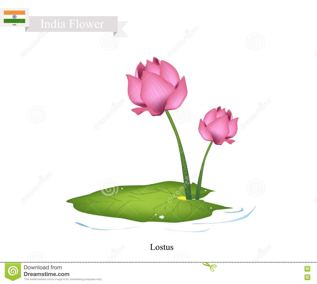 A national flower clipart 22 free Cliparts | Download images on
