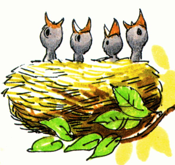 Baby Bird Nest Clipart.