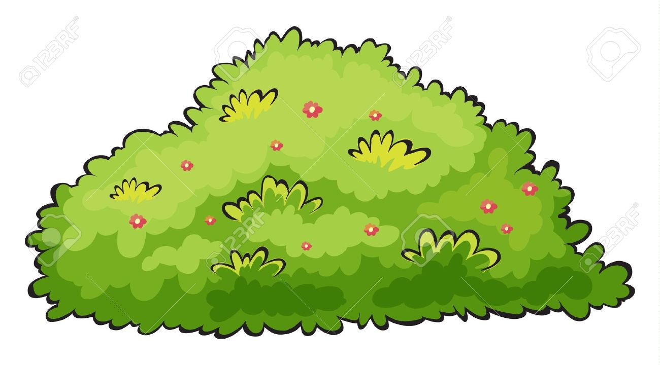Shrub clipart 20 free Cliparts | Download images on Clipground 2022