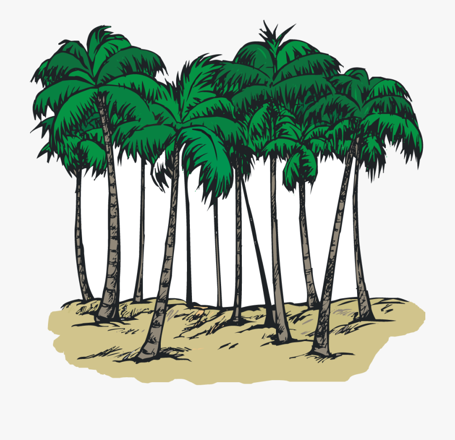 A Group Of Palm Trees.