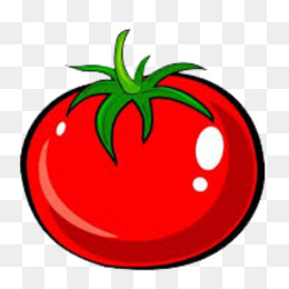 Tomato Drawing PNG and Tomato Drawing Transparent Clipart.