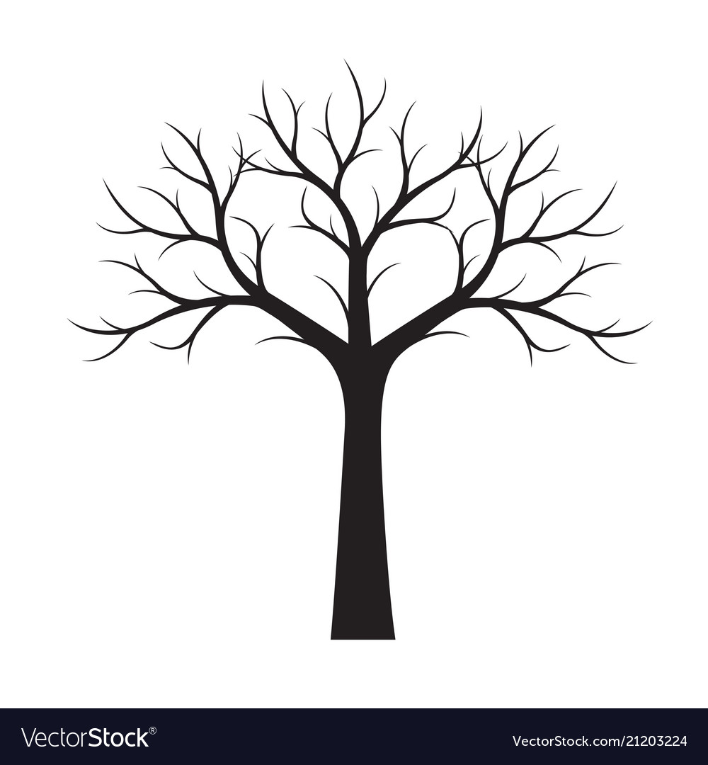 Cartoon Tree Without Leaves Clipart Maikensmat