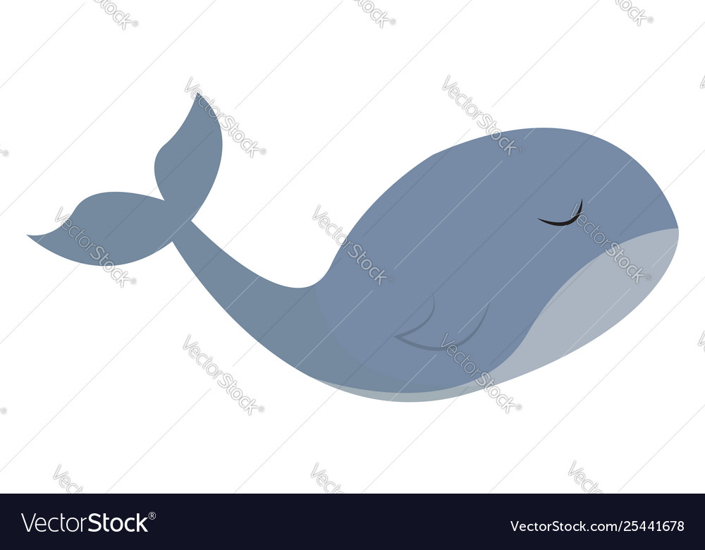 Clipart a whale set isolated white background.
