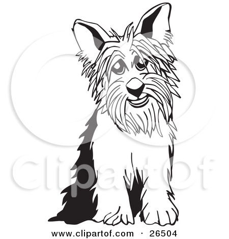 Clipart Illustration of a Yorkshire Terrier Dog Sitting, In Black.