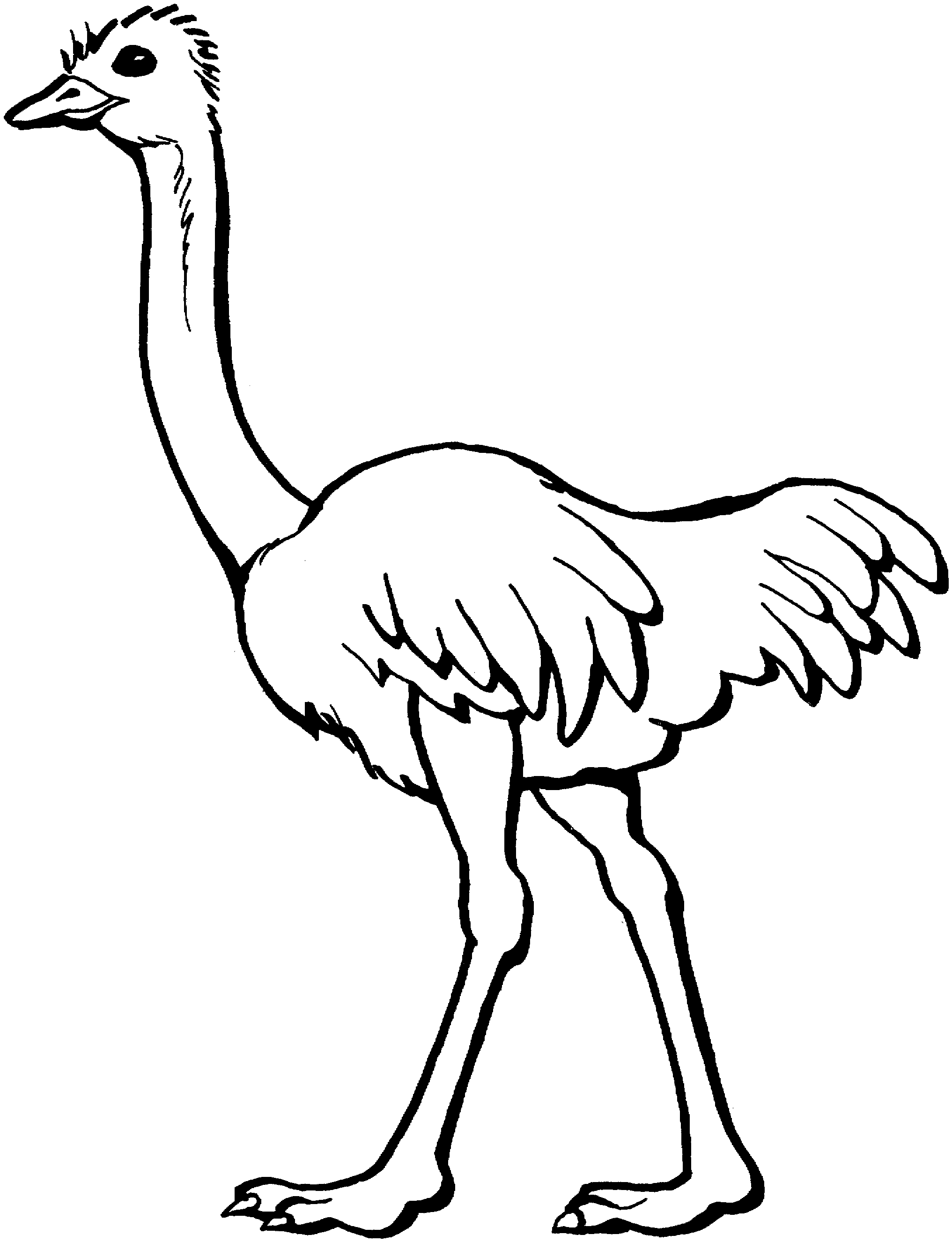 Download black and white clipart ostrich 20 free Cliparts ...