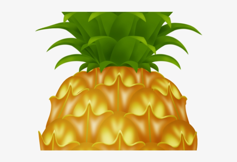Pineapple Clipart Pineapple Slice.