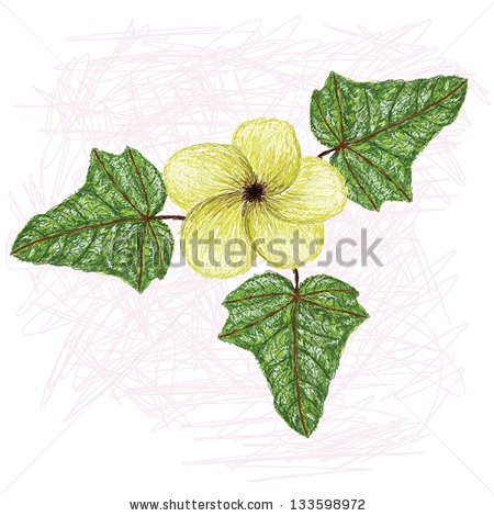 Abelmoschus Stock Vectors & Vector Clip Art.