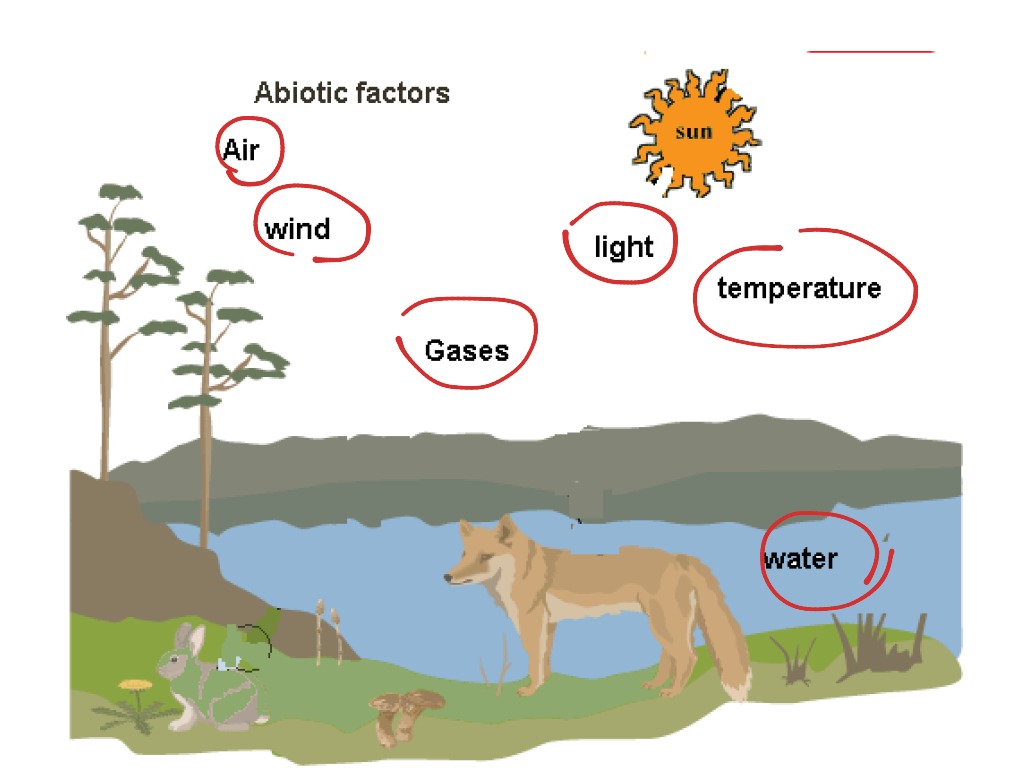 Abiotic factor вики