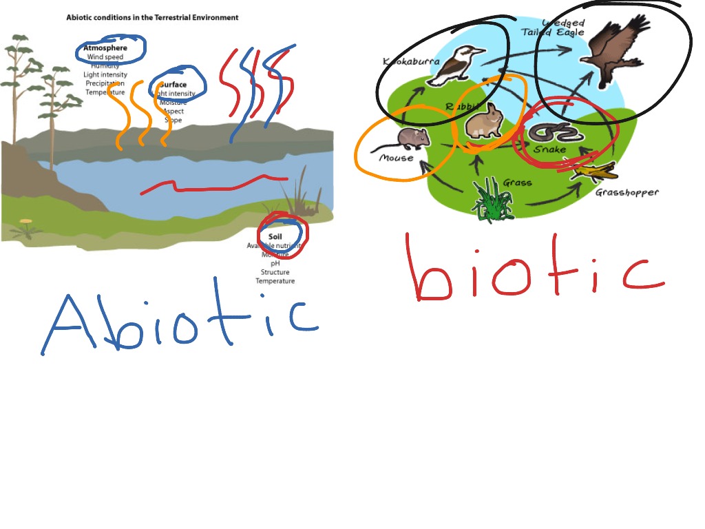 Abiotic factor обрывки кожи. Abiotic Factor игра. Abiotic Factor кастрюля. Biotic and abiotic Factors. Abiotic Factor профессии.