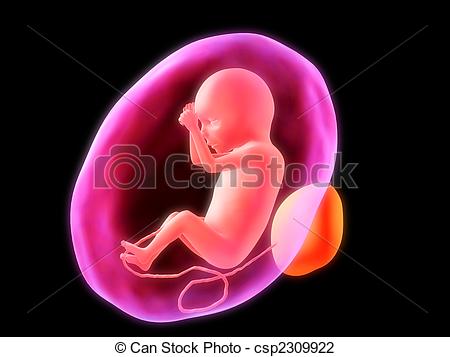 Abortion Illustrations and Clipart. 500 Abortion royalty free.