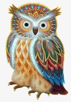 Absolutely jane owl clipart clipart images gallery for free.