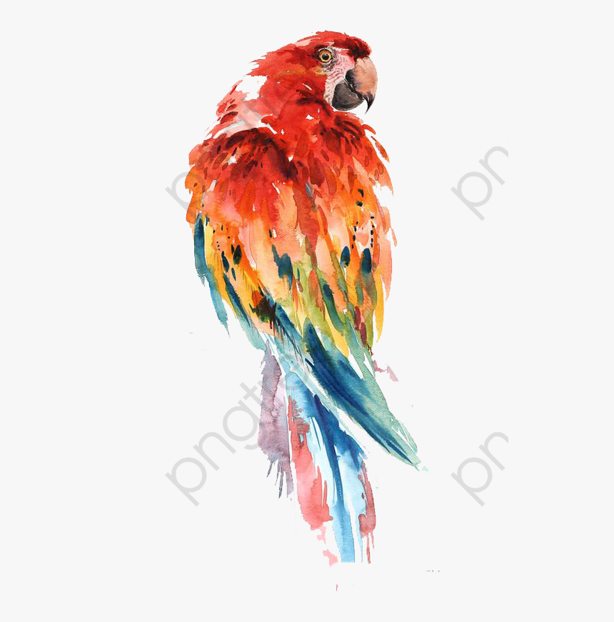 Parrot Clipart Abstract.