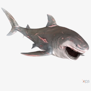 PNG Sharks Cliparts & Cartoons Free Download , Page 2.