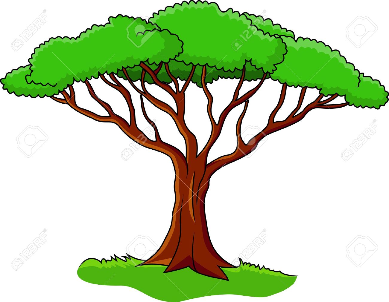 Деревья Африку для дошкольников