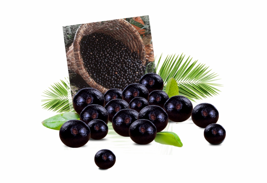 Acai Berry Png Free PNG Images & Clipart Download #1778022.