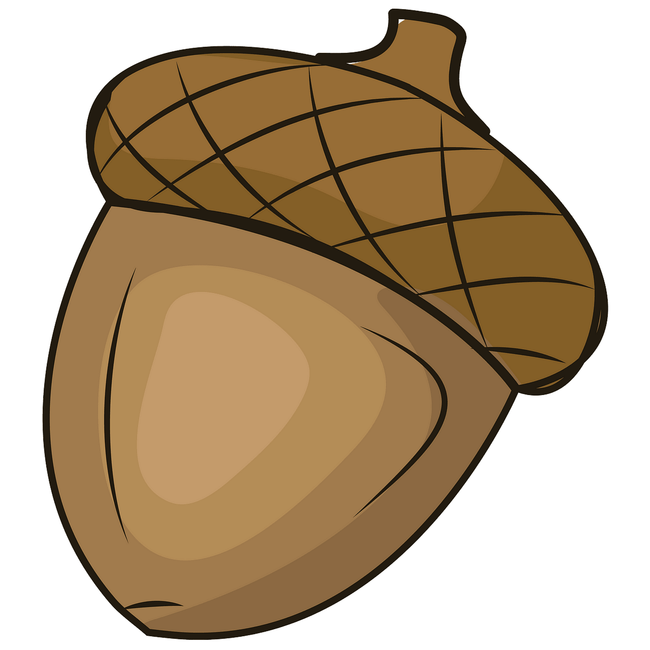 Acorn clipart. Free download..