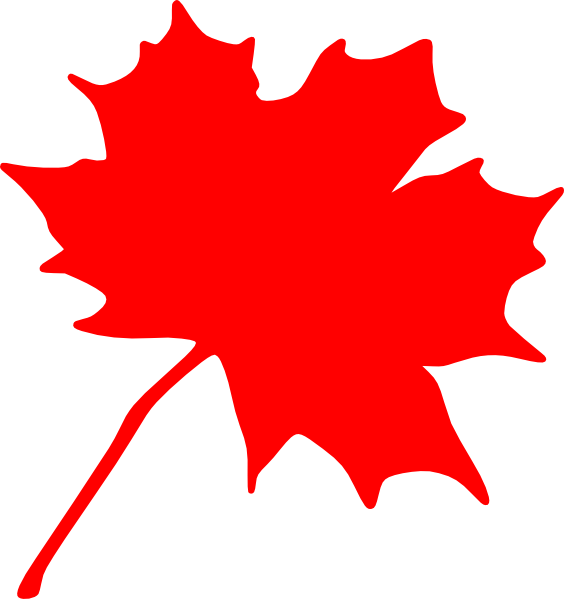 Maple Leaves Images.